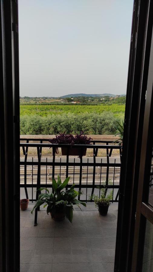 Bed and Breakfast Wintage Маріно Екстер'єр фото